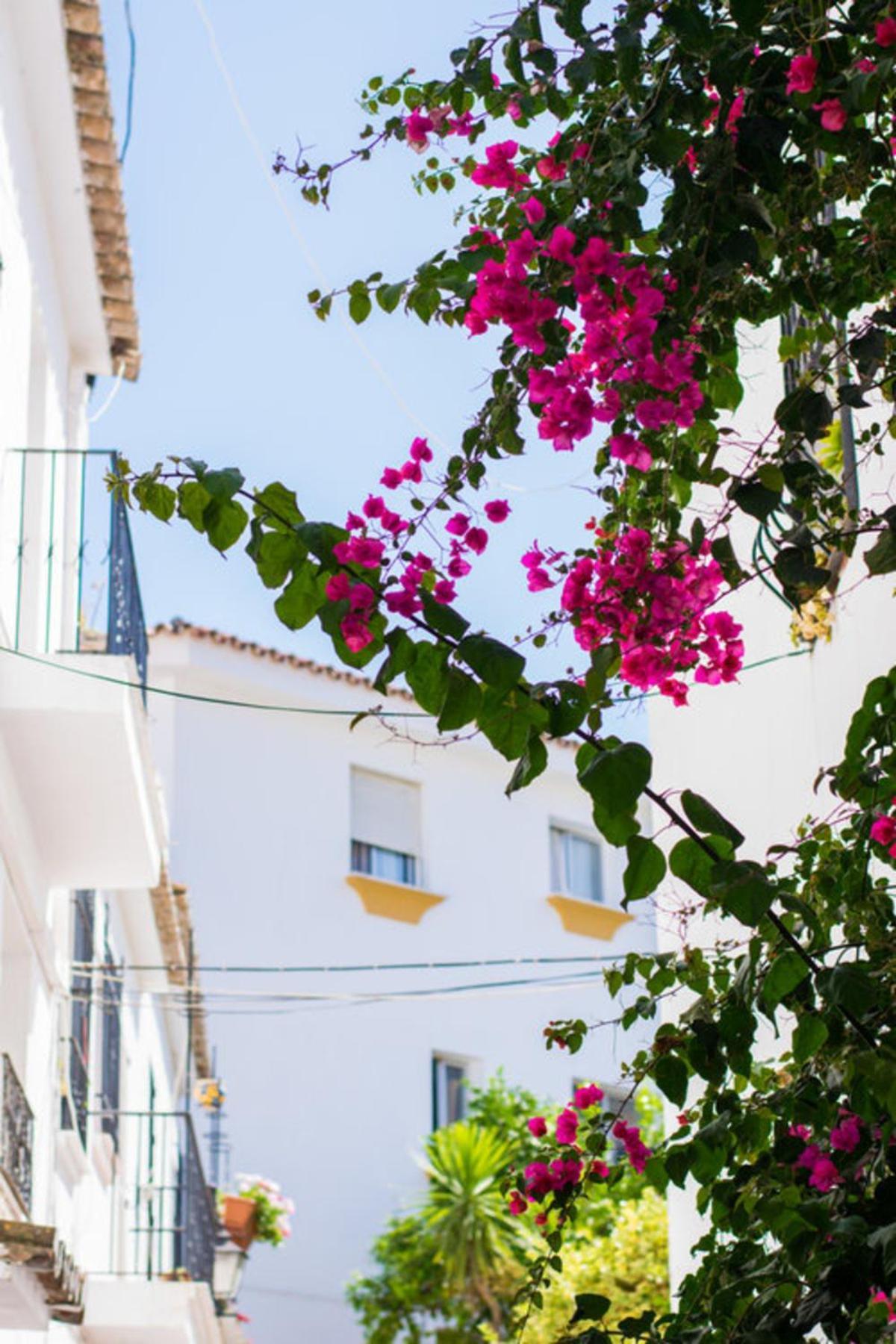 Superior 3Br Golfla Apartment Minutes From Puerto Banus & Marbella Málaga Eksteriør bilde